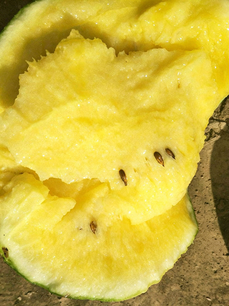 Linglong Yellow Watermelon