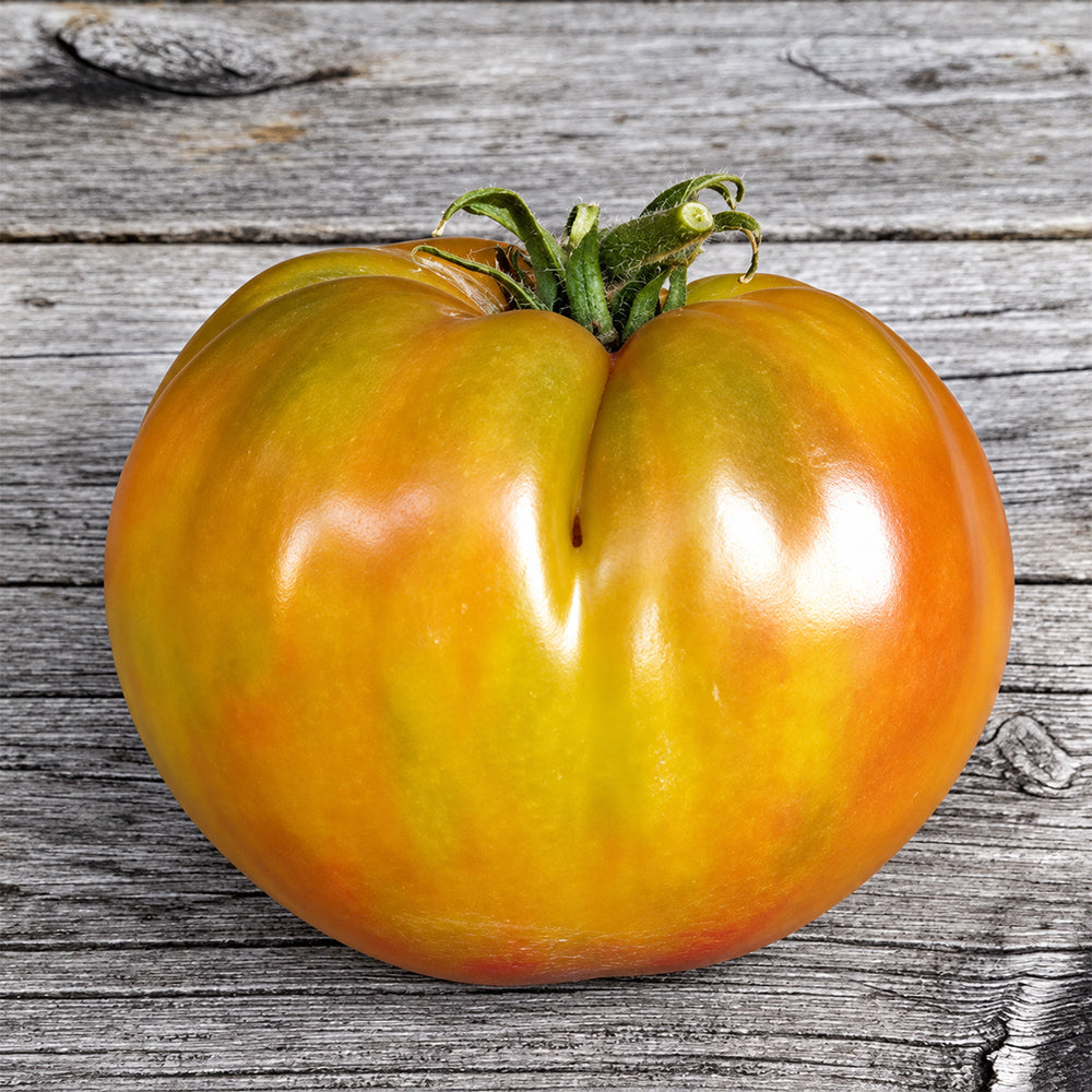 467 Dwarf Grandma's Chocolate Tomato