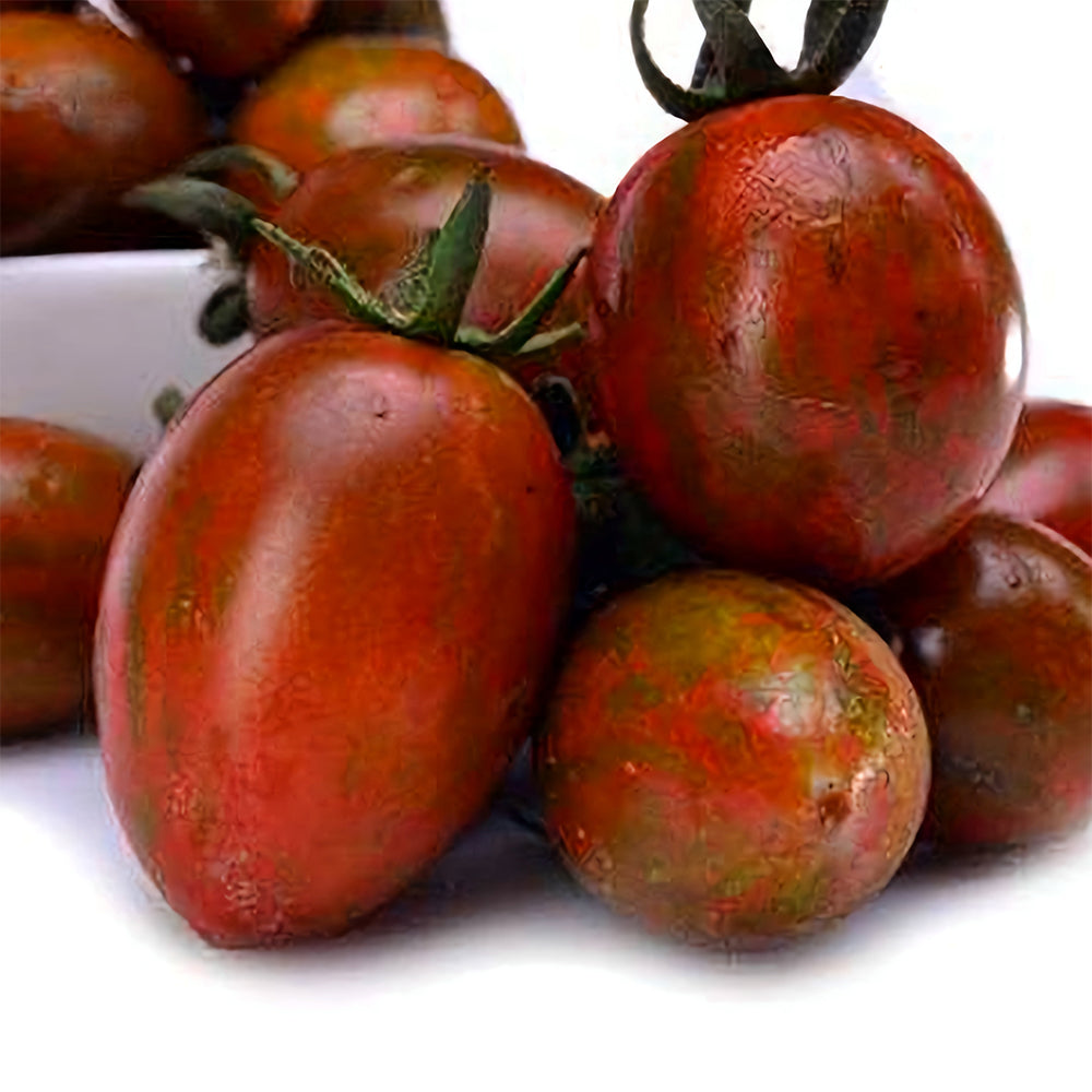 Peachy Perfection: 5 Bags (100 Seeds / Bag) of 'Strawberry' Tomatoes