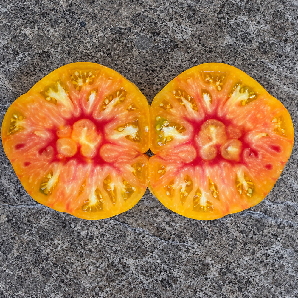 207 Stanley Tomato