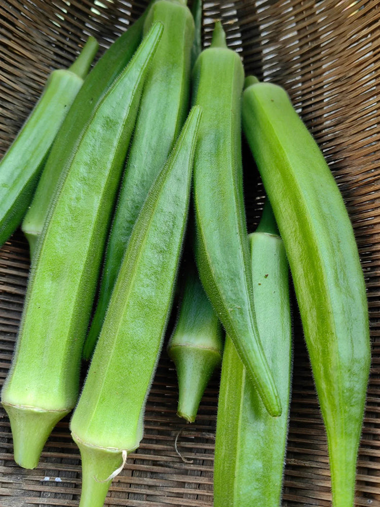 Traditional Okra