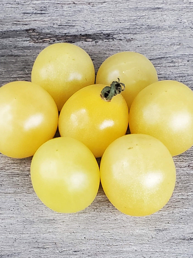 Italian Ice Cherry Tomato