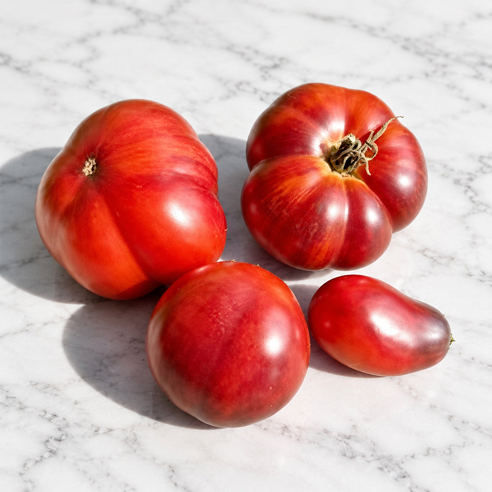 1144 Rose of Dinaburg F6 Tomato