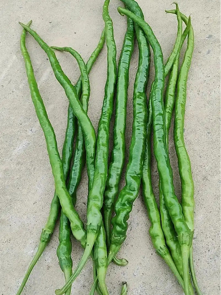 Hongtianxia String Peppers