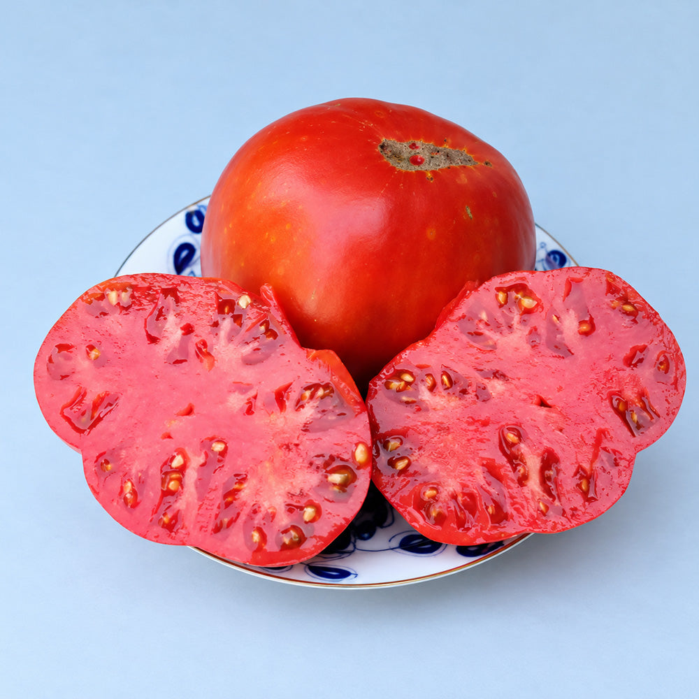 225 Vova Putin Tomato