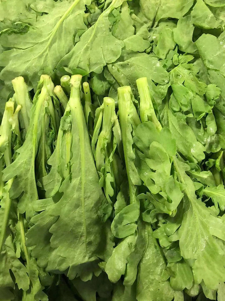 'Jiemei' Large-Leaf Garland Chrysanthemum