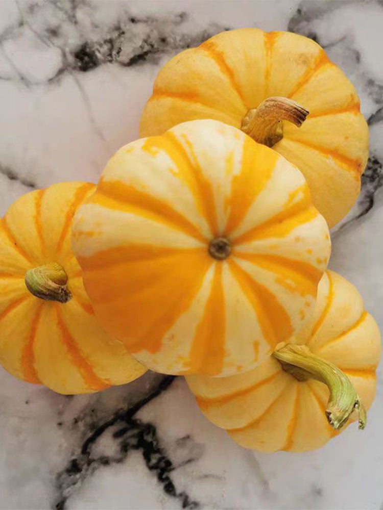 Yellow Beibei Pumpkins