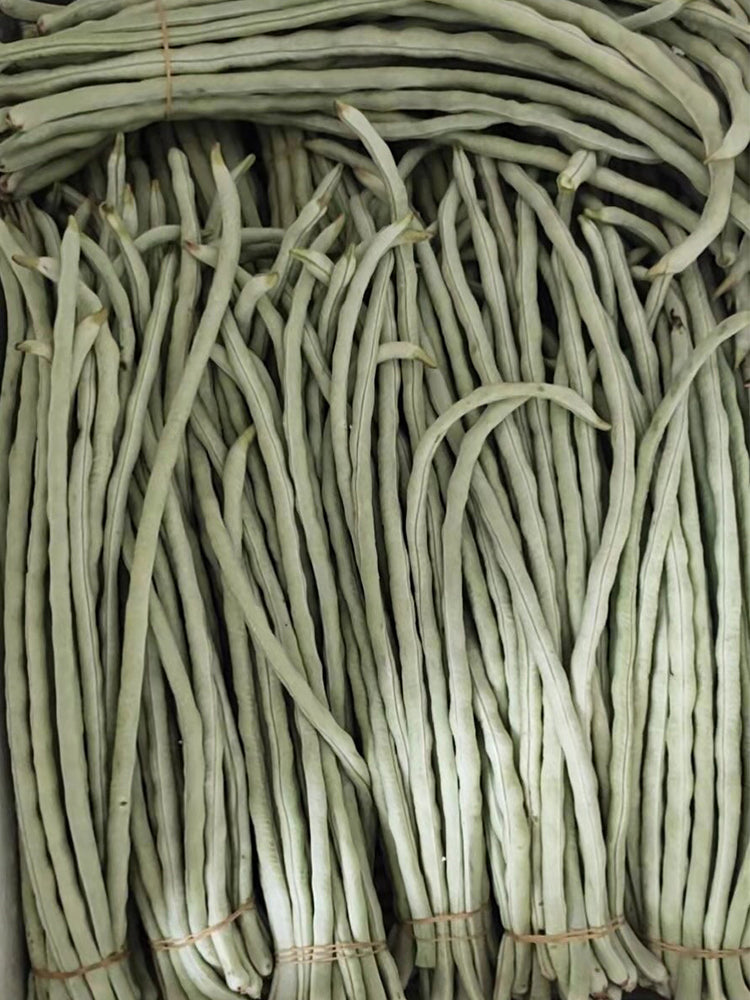 'Jiemei' Glossy White Long Bean