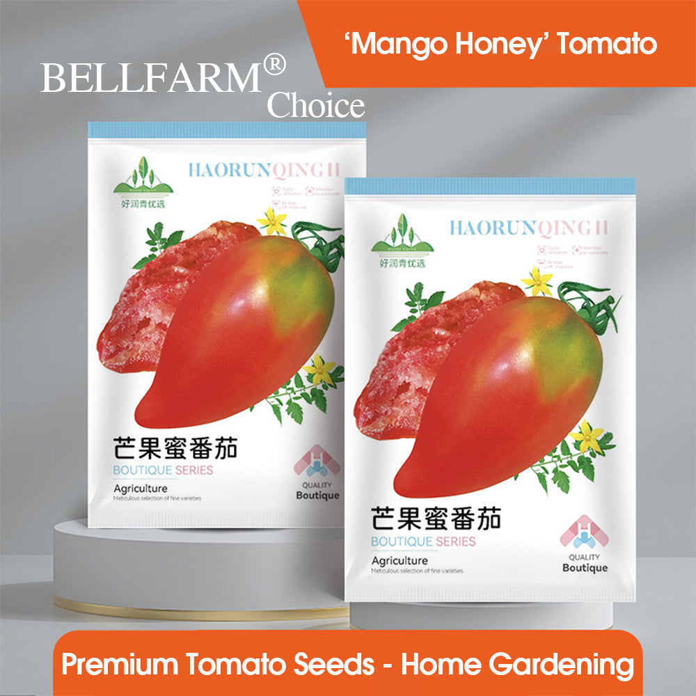 'Mango Honey' Marvel: 5 Bags of Red Banana Tomato Seeds