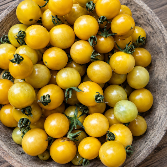154 Champagne Cherry Tomato