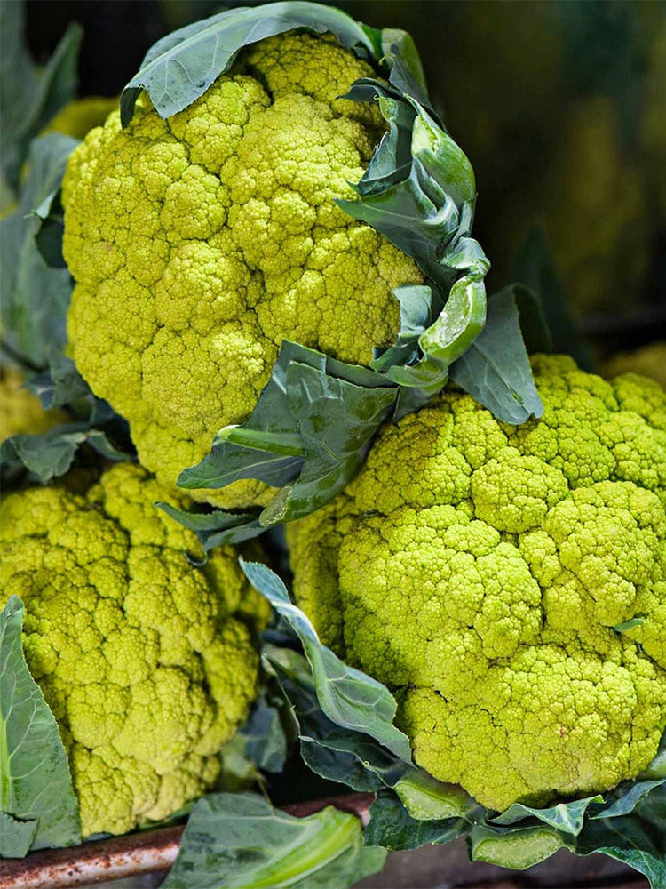 Green Cauliflower