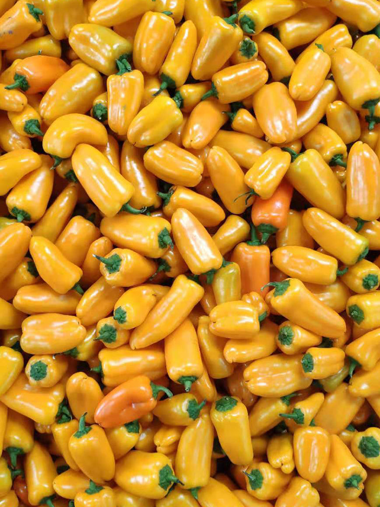 Mini Yellow Sweet Pepper