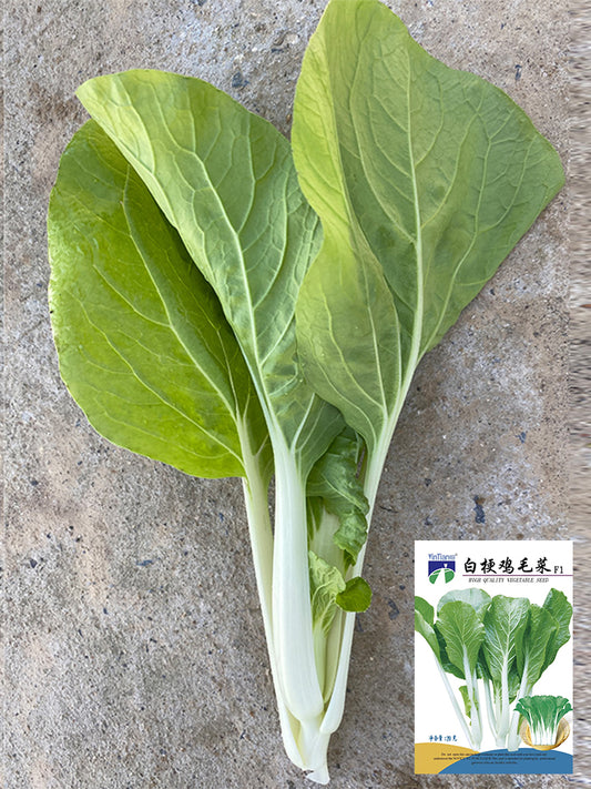 White-Stalked Baby Bok Choy