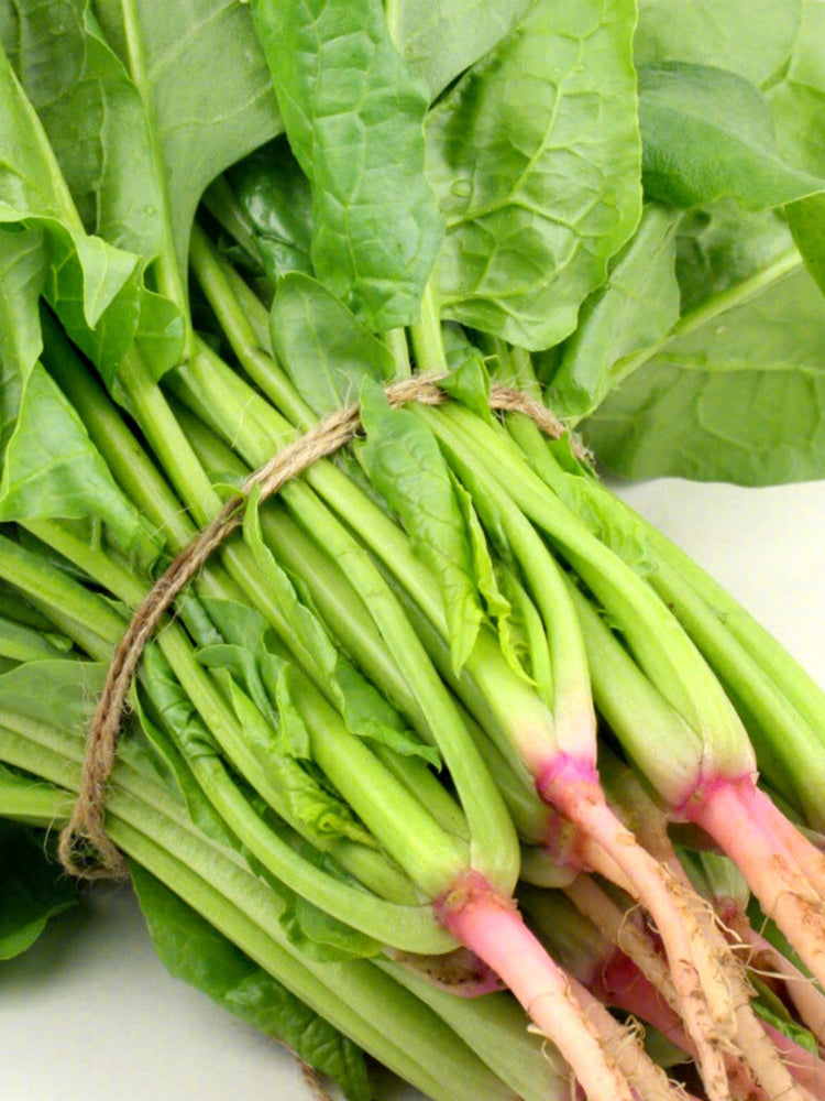 Golden Autumn Spinach