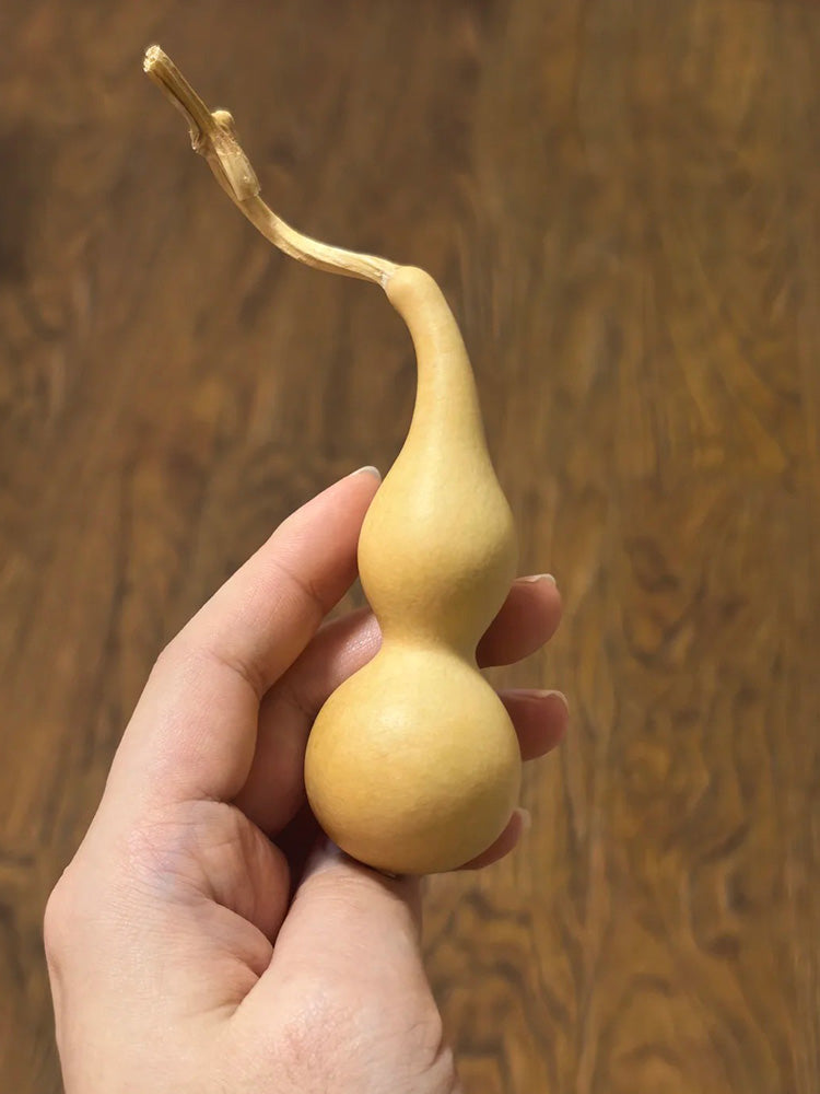 Twisted-Handle Ornamental Gourd