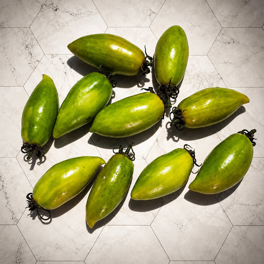526 Shining Emerald Tomato