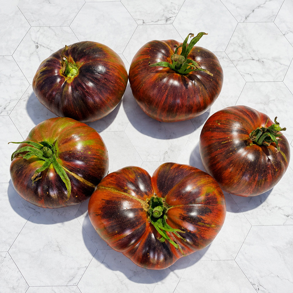 56 Rebel × Marsha's Beefsteak Tomato