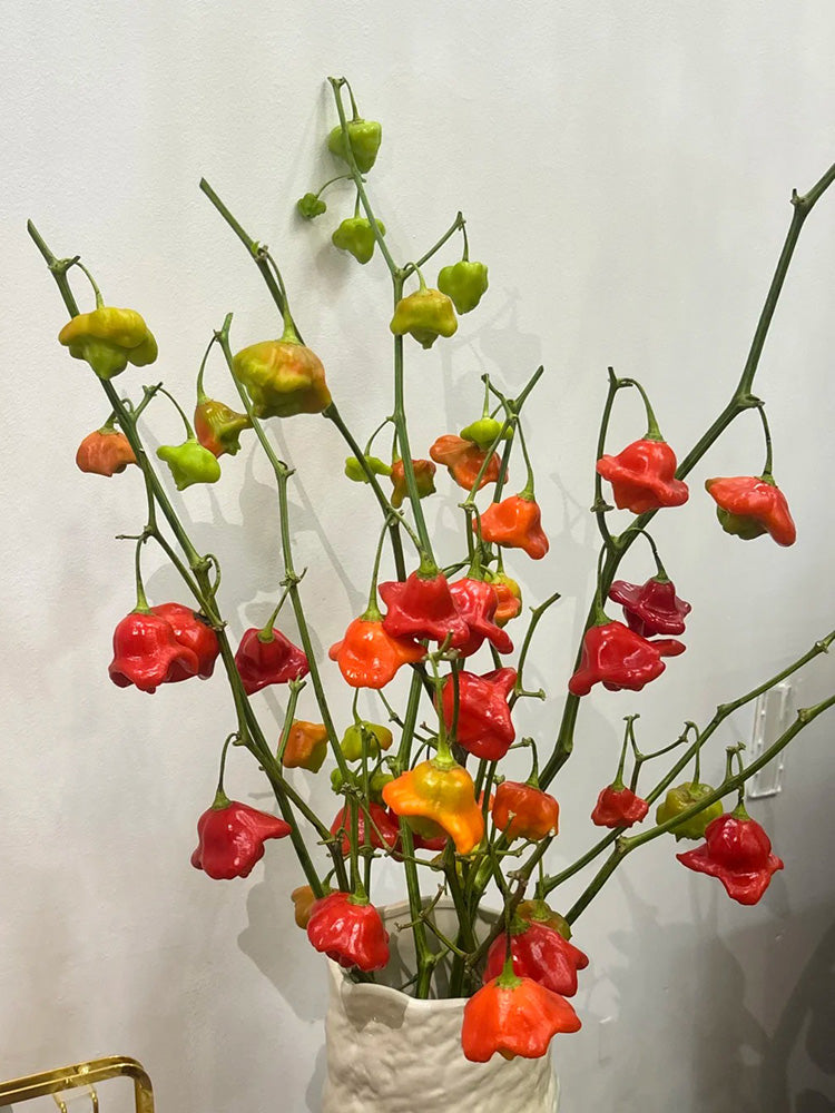 Bishop's Hat Pepper