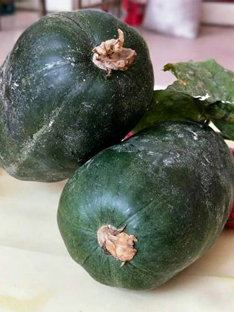 Little Darling Melon