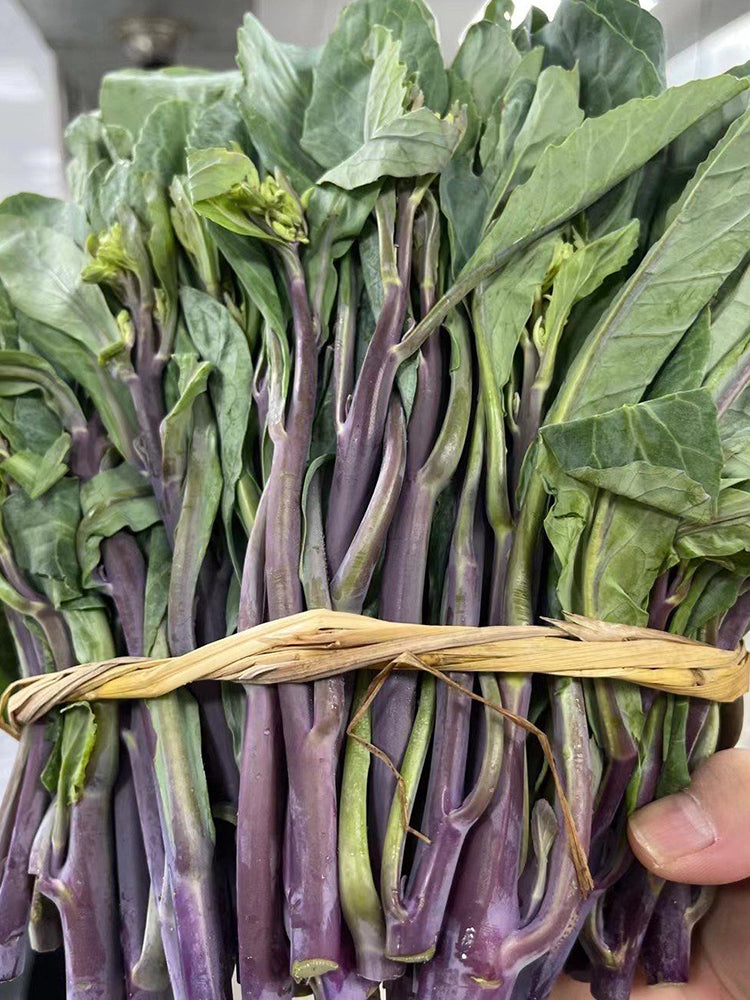 Curly-Leaf Red-Stem Chinese Kale