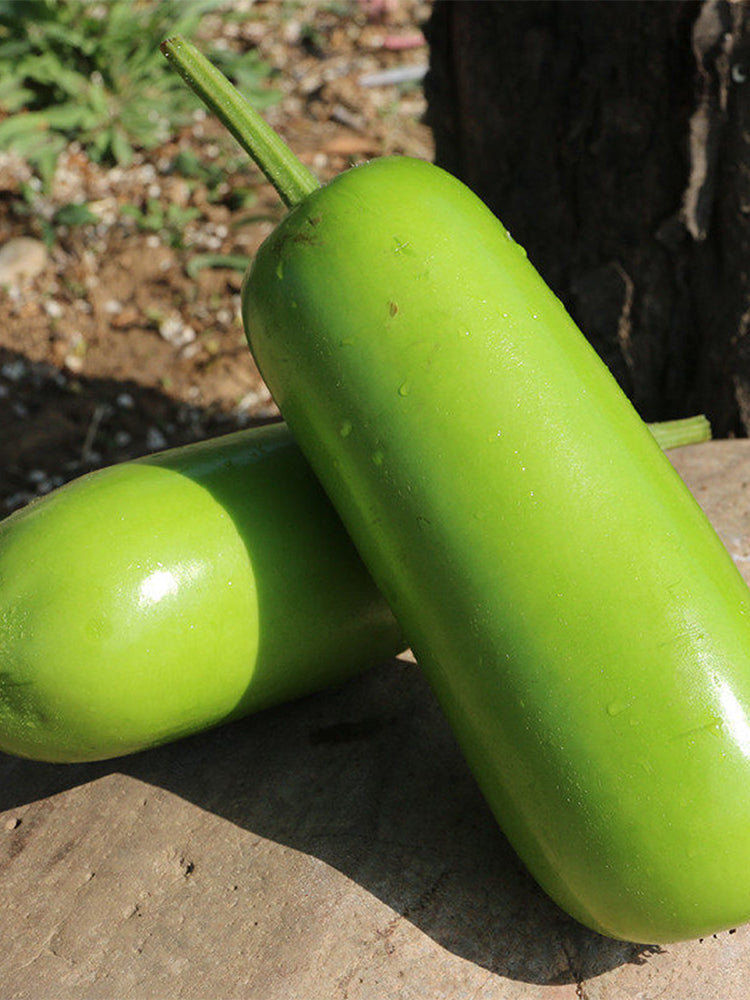 'Zhepu No.9' Bottle Gourds