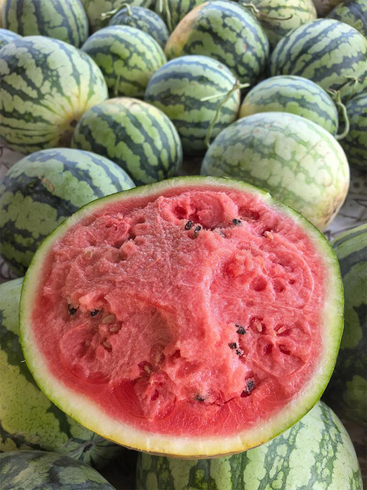 Xiumei Meidu Watermelon