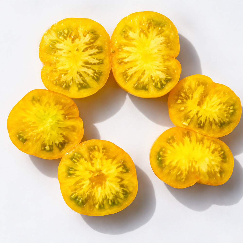 88 Dwarf Rumpelstiltskin Tomato