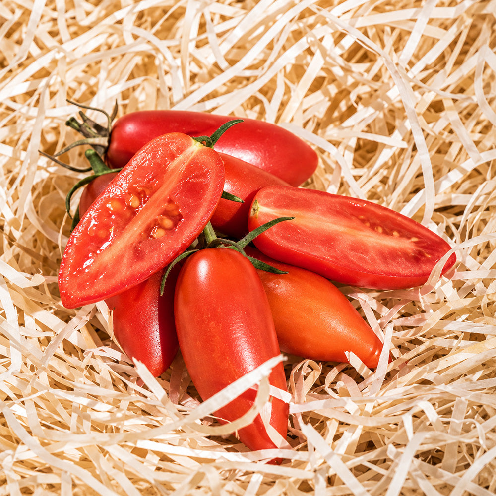 523 Sweet Casady Tomato