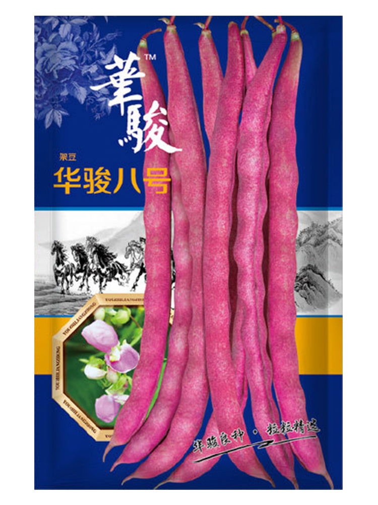 Huajun No.8 Purple Kidney Beans