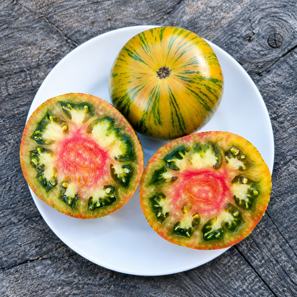 63 Ananas Zebra Tomato