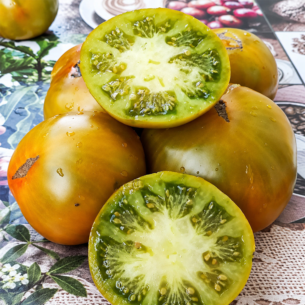 173 Romovaya Baba Tomato