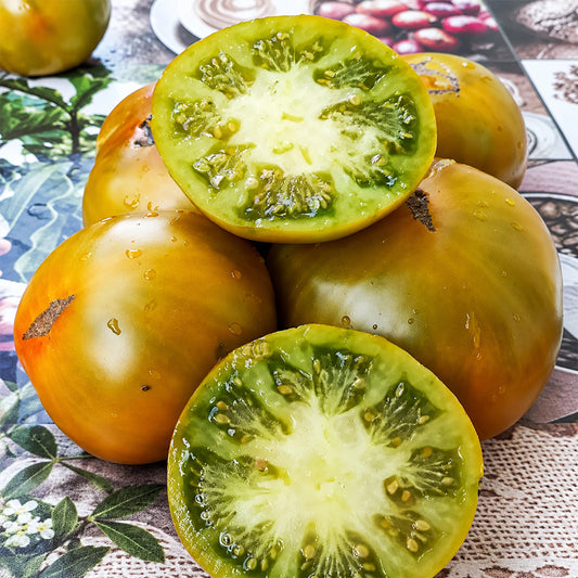 173 Romovaya Baba Tomato