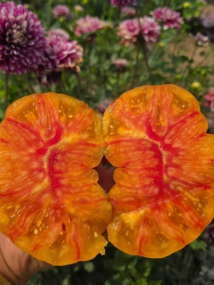 918 Orange Caramel Tomato
