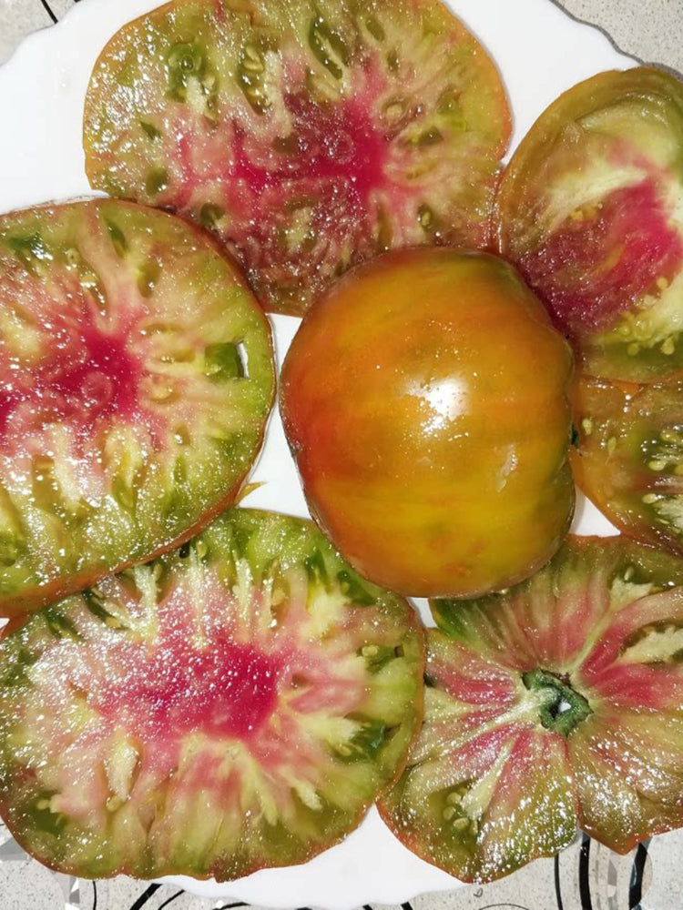 1093 Mossy Oak Tomato