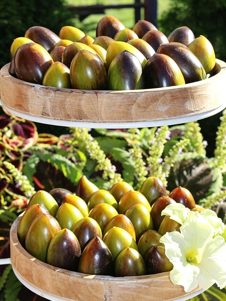 970 Cosmic Purple Tomato