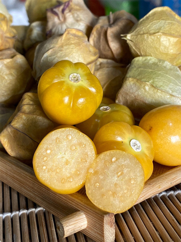 Golden Ground Cherry