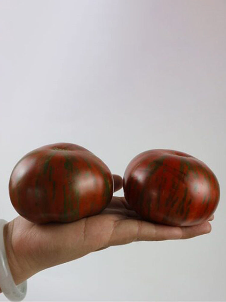 Siegel's Dark Striped Tomato