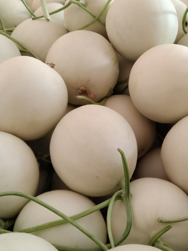 Super Sweet White Jade No.2 Melon