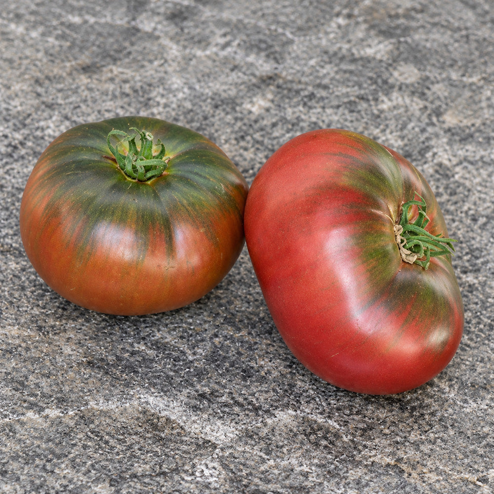 73 Polaris Tomato