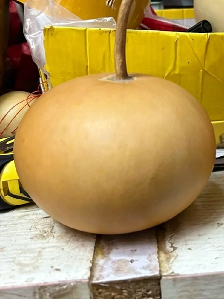 Small Apple Gourd