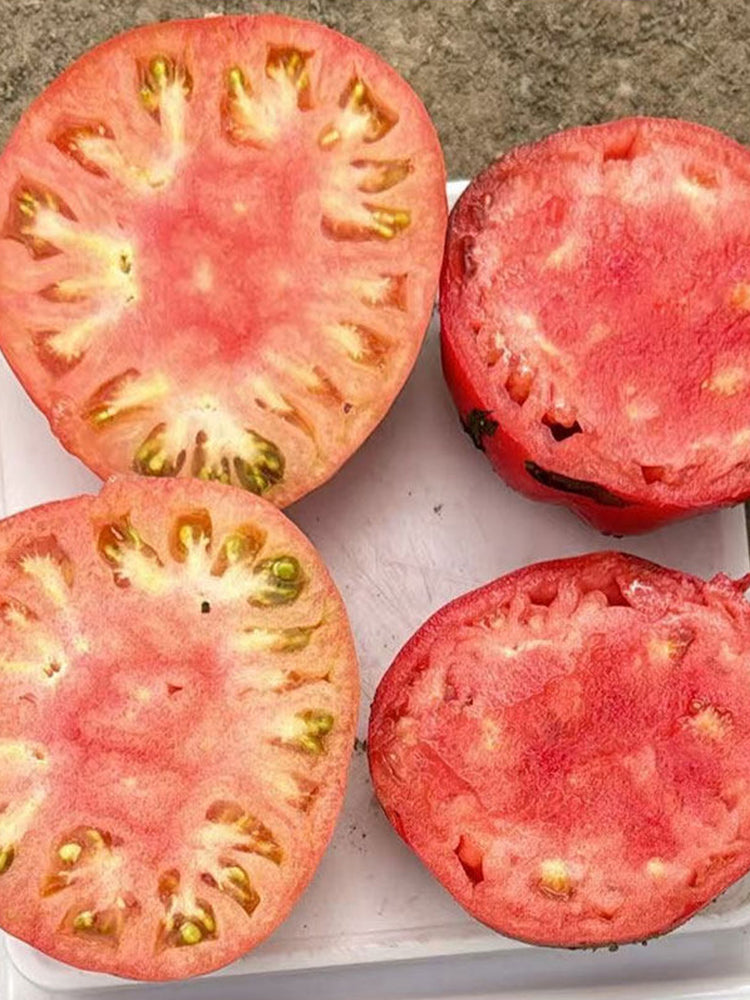 Classic Beefsteak Tomato