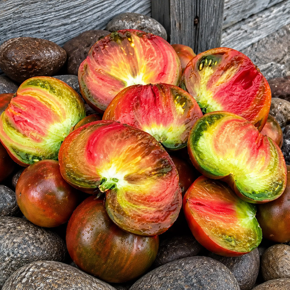67 Dwarf Crimson Sunset Tomato