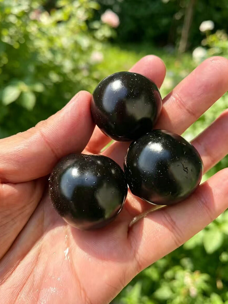 933 Sweet Black Almond Cherry Tomato