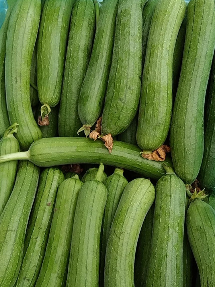 Green Superior Luffa