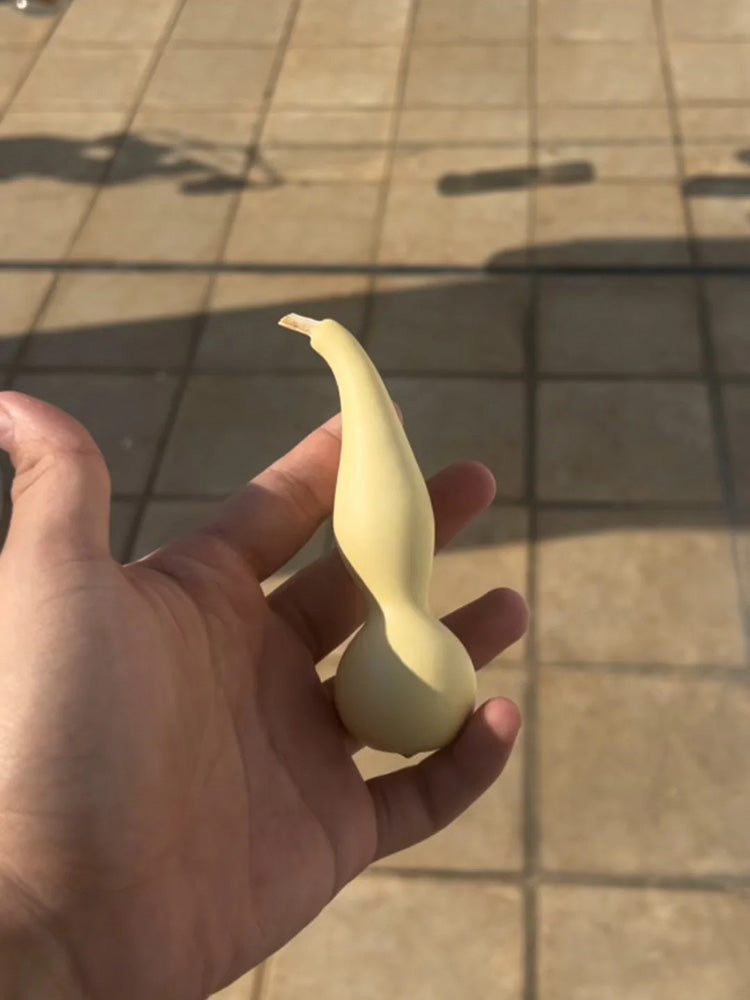Twisted-Handle Ornamental Gourd