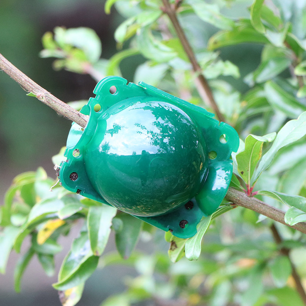 Tree Root Growing Box for Grafting, Tree Rooter Air Layering ...