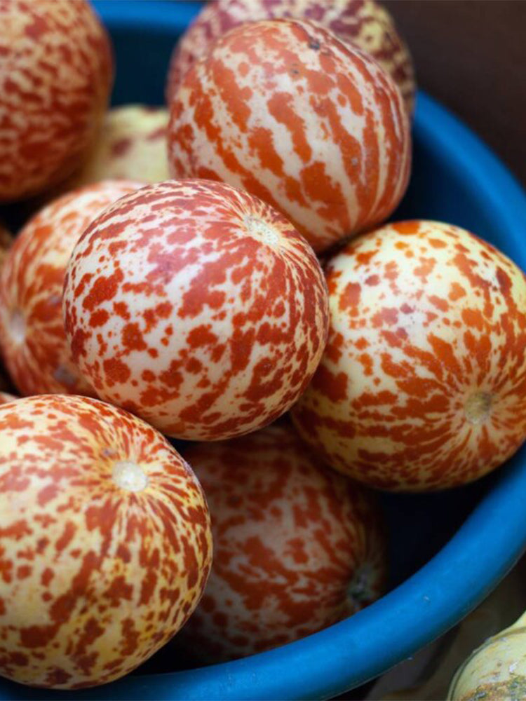 Queen Anne's Pocket Melon