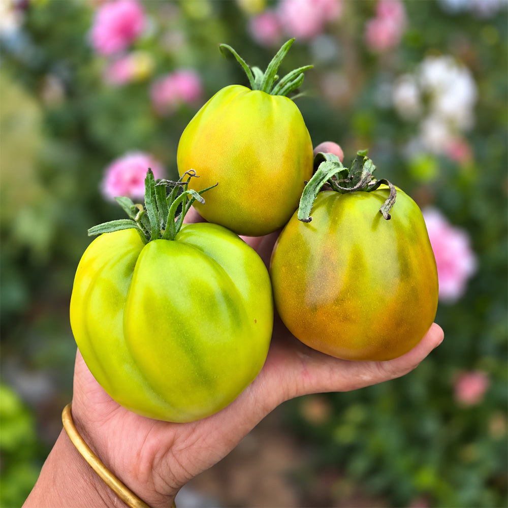 274 Emerald Truffle Tomato