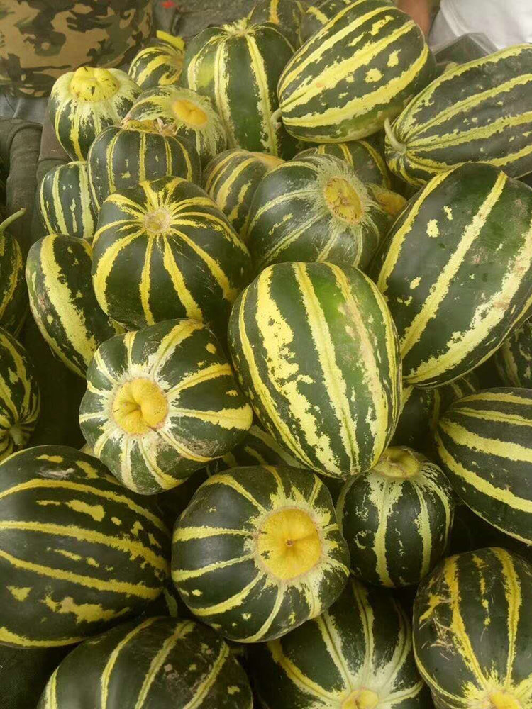 Bing Tangzi Melon