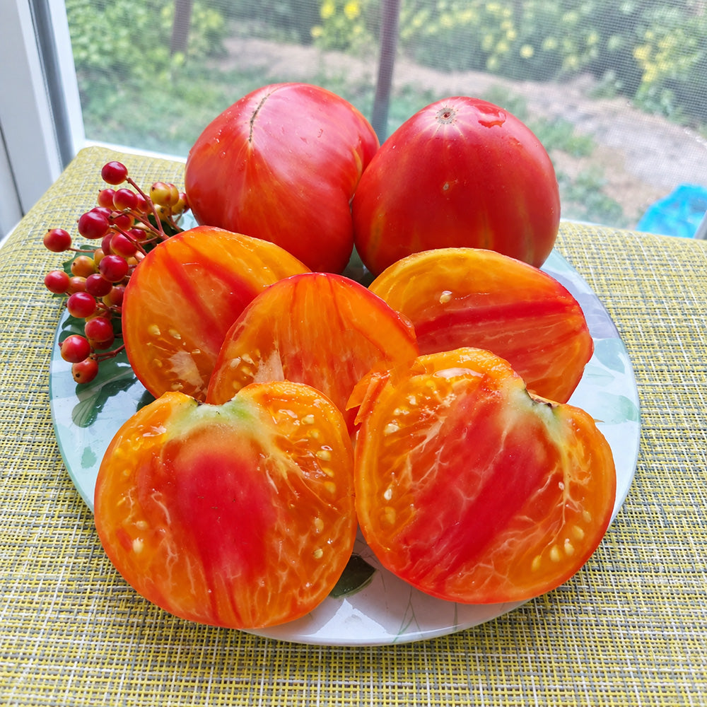 567 Sweet Peach Tomato